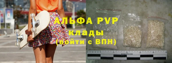 гидра Белокуриха