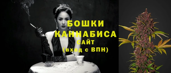 соль ск Бородино