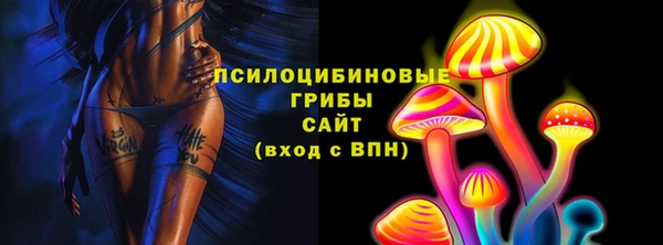 соль ск Бородино