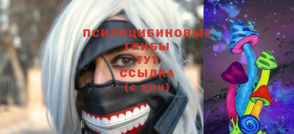 соль ск Богданович