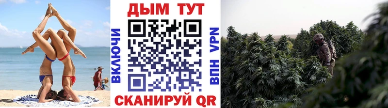 Купить где  Лагань  Конопля ГИДРОПОН 